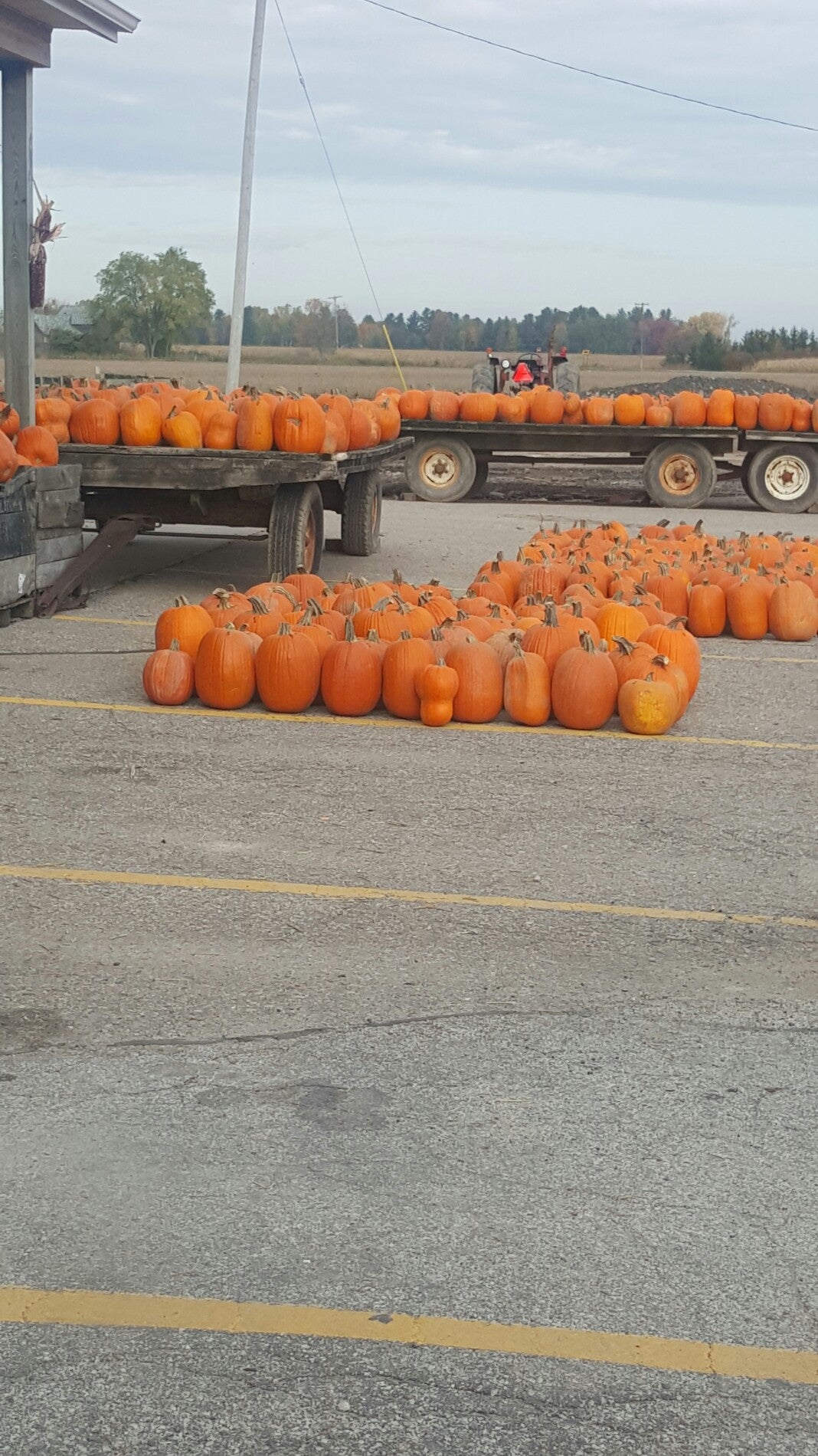 Jay's Fruit Market, 4378 S Huron Rd, Standish, MI MapQuest