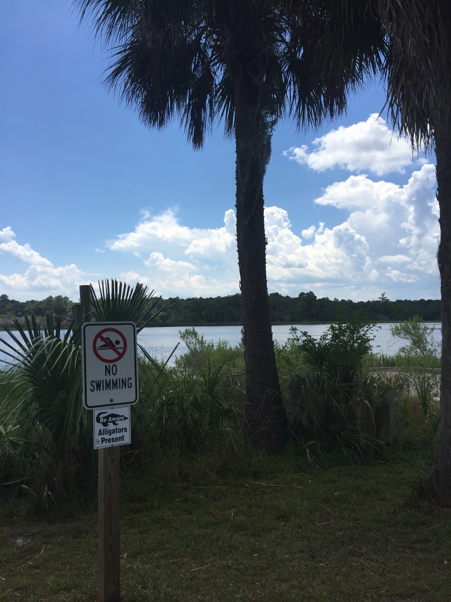 Ft MacAllister Campground, Richmond Hill, GA, Campgrounds MapQuest