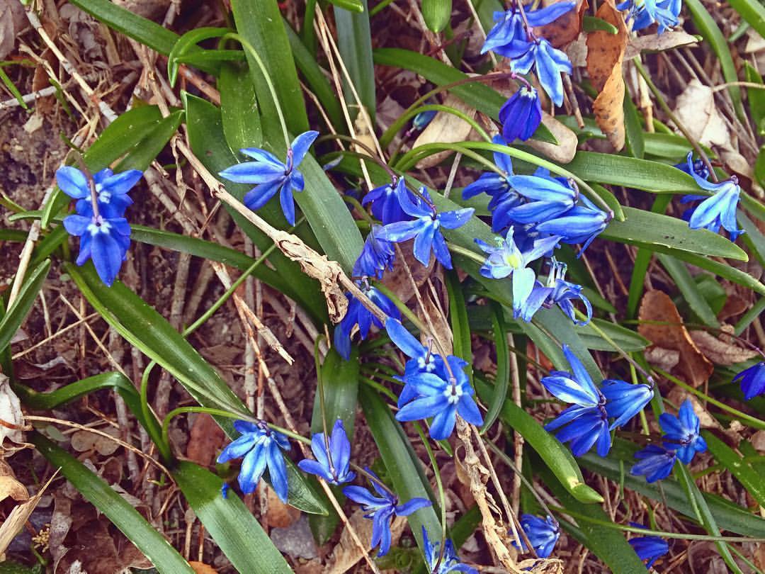 Peel Family Shelter, 1767 Dundas St E, Mississauga, ON MapQuest
