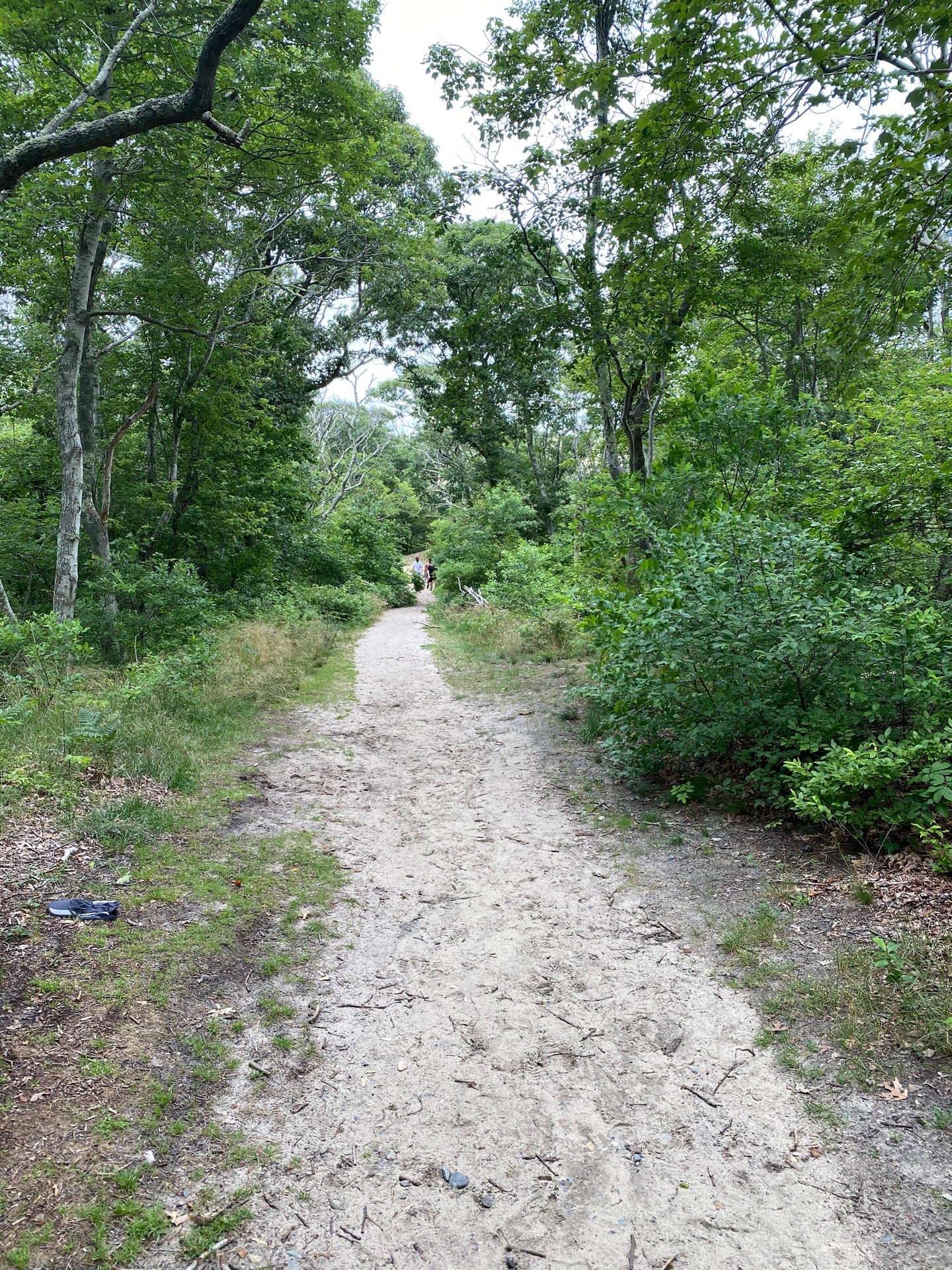 Dune Shacks Trail, Provincetown, MA, Trail MapQuest