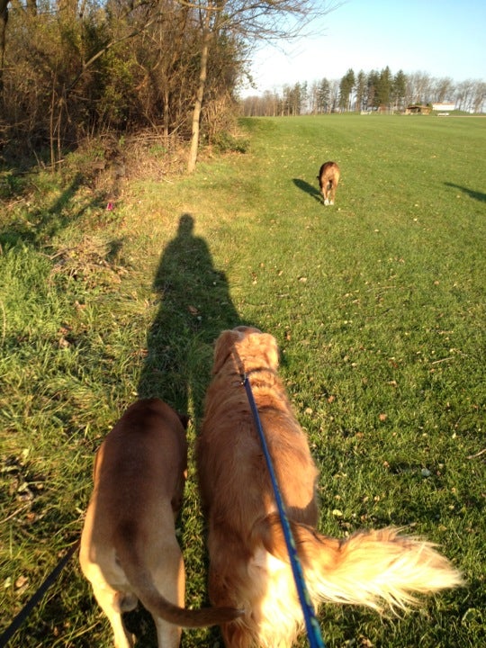 Bicentennial Park, Liberto Ln, East Allen Twp, PA MapQuest