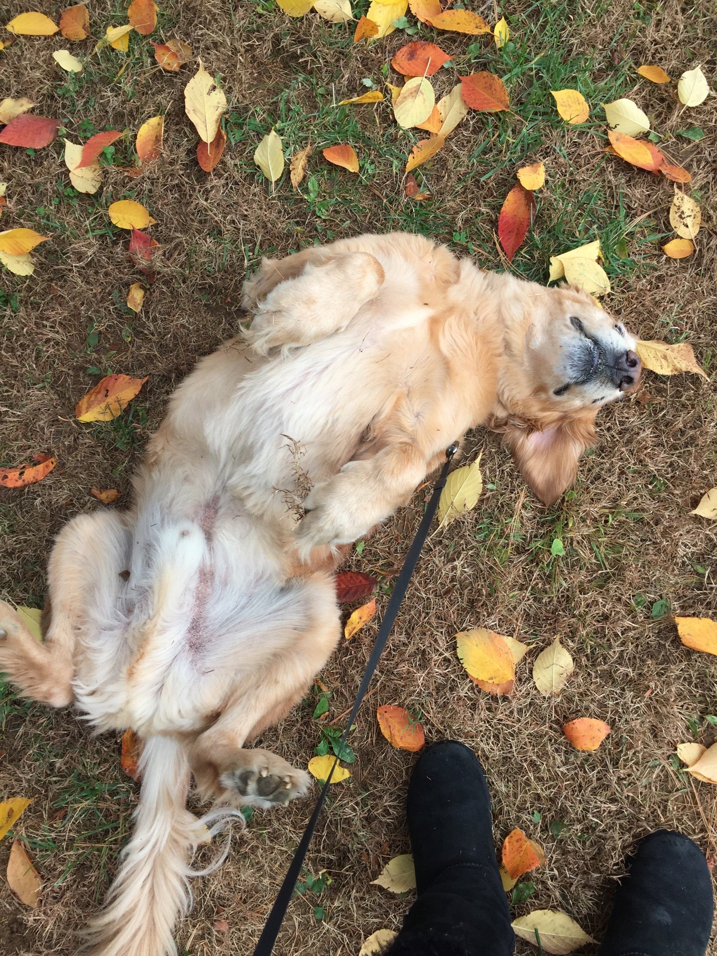 Macungie, PA Map & Directions MapQuest