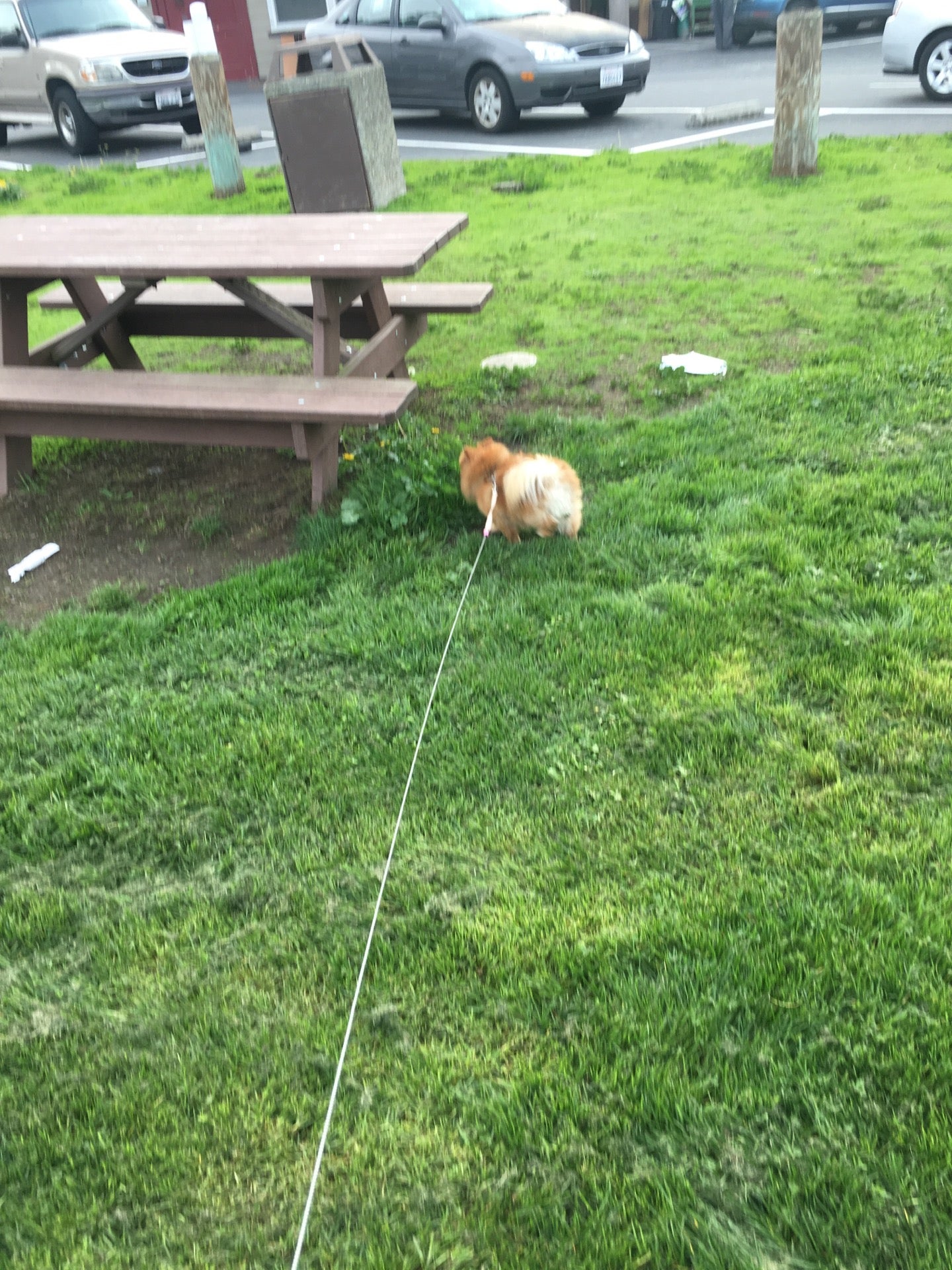 MLK soccer field, Coloma street, Sausalito, CA MapQuest