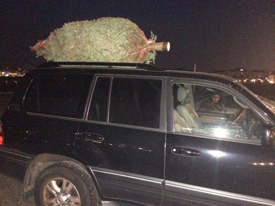 Alpine Christmas Trees CLOSED, 4441 Tassajara Rd, Dublin, CA, Retail