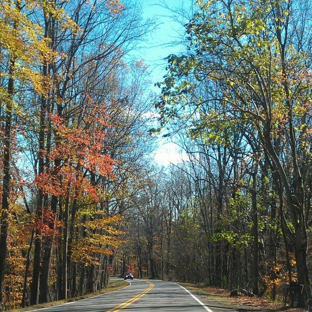 Walton's Mountain Museum, 6484 Rockfish River Rd, Schuyler, VA, Museum MapQuest