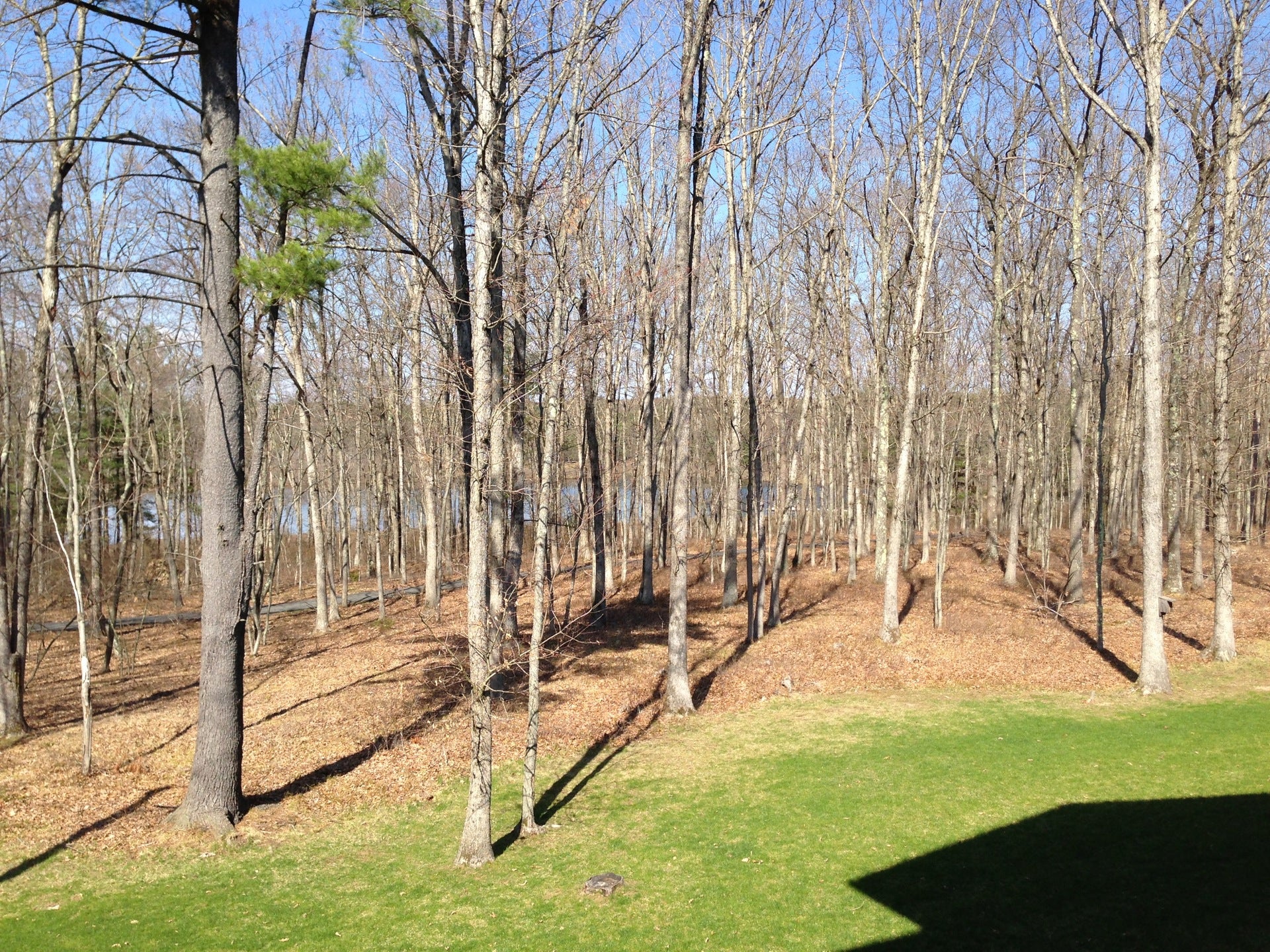 The Lodge at Woodloch Spa, 109 River Birch Ln, Lackawaxen Twp