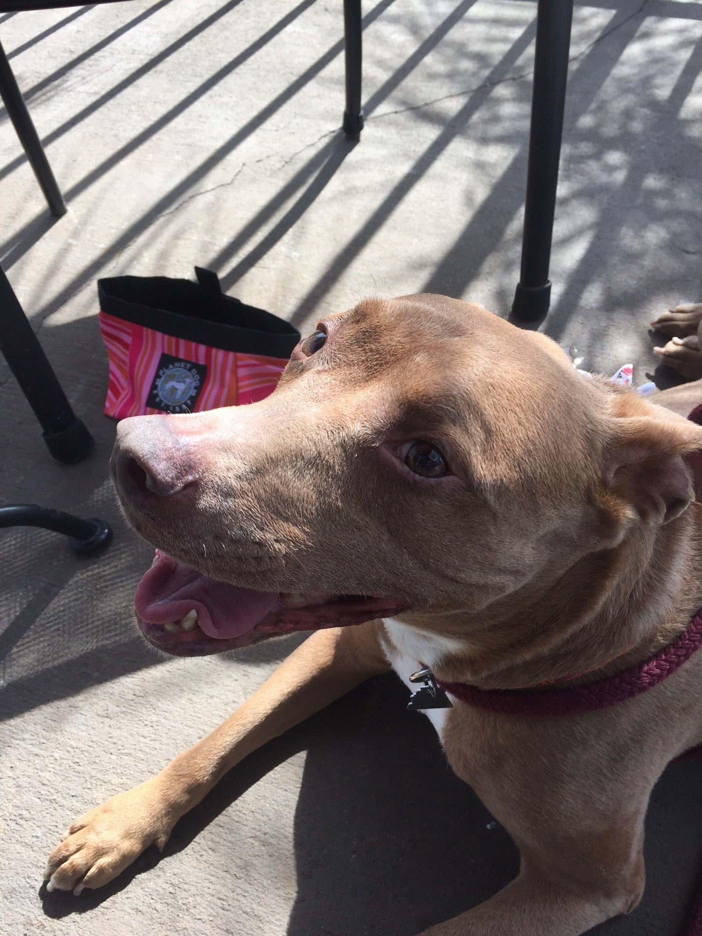 Lake Alfred, FL Map & Directions MapQuest