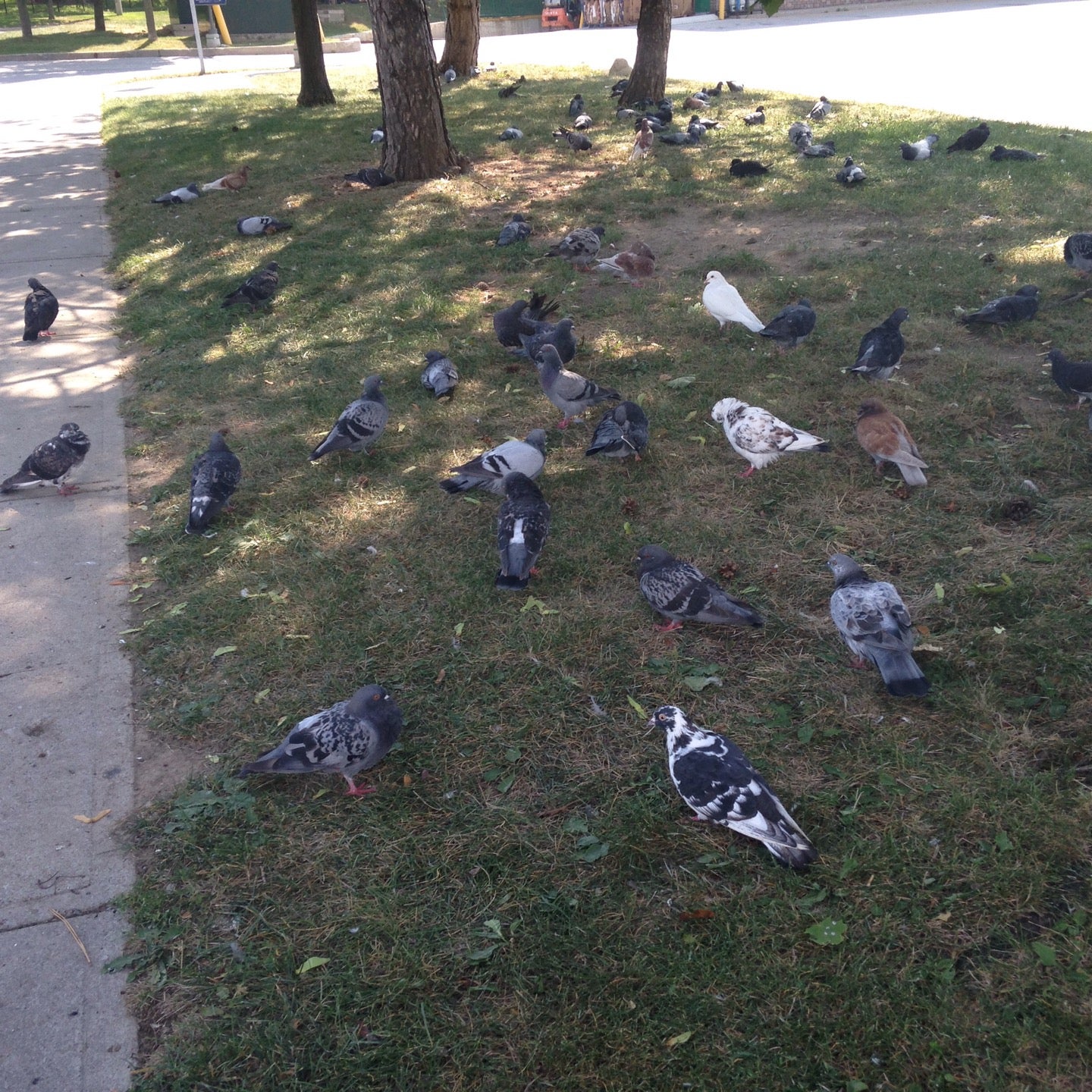 Trudelle Park, 36 Trudelle St, Toronto, ON MapQuest