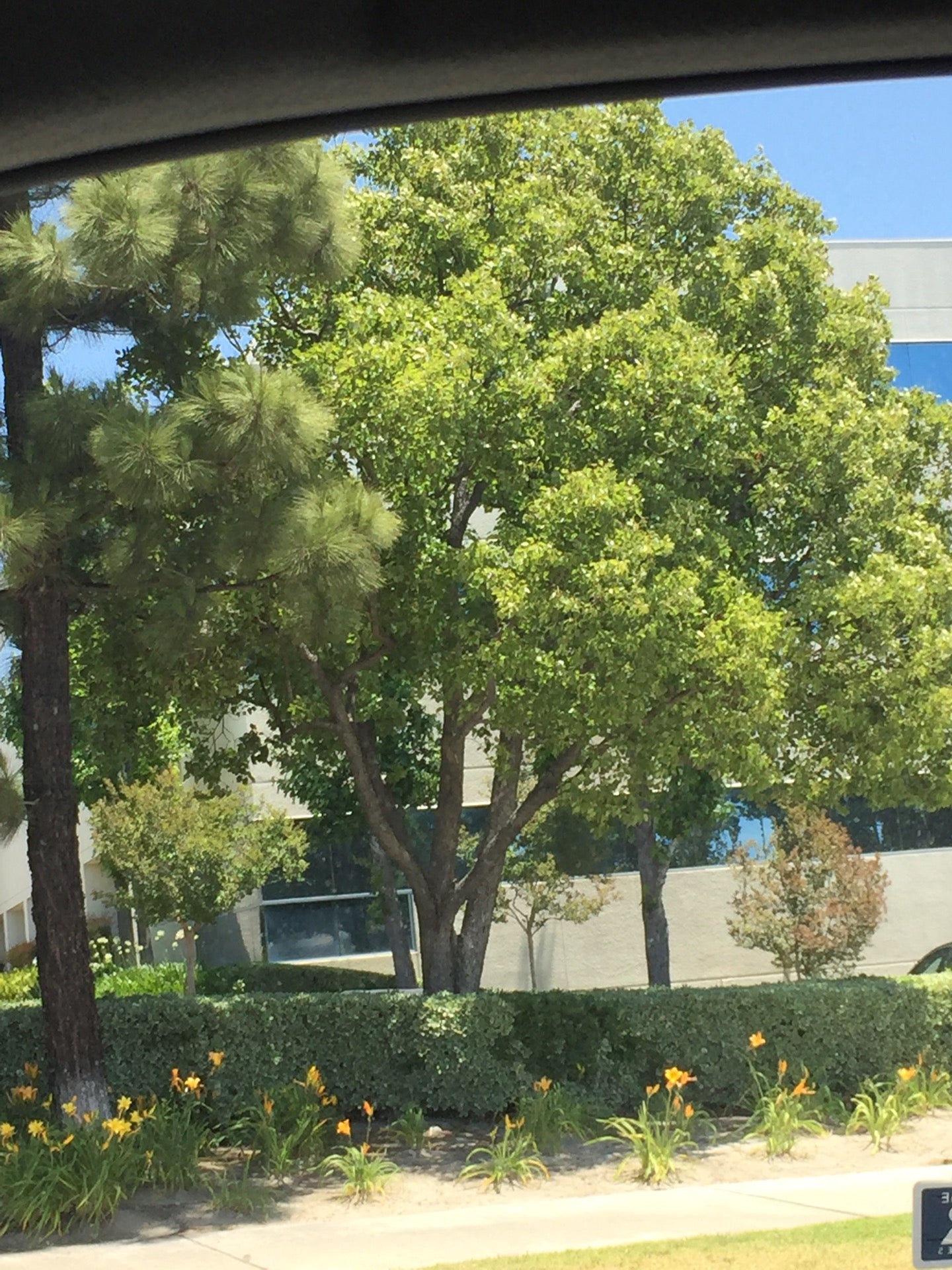 San Antonio Medical Center, 7777 Milliken Ave, Rancho Cucamonga, CA, Surgical Centers MapQuest