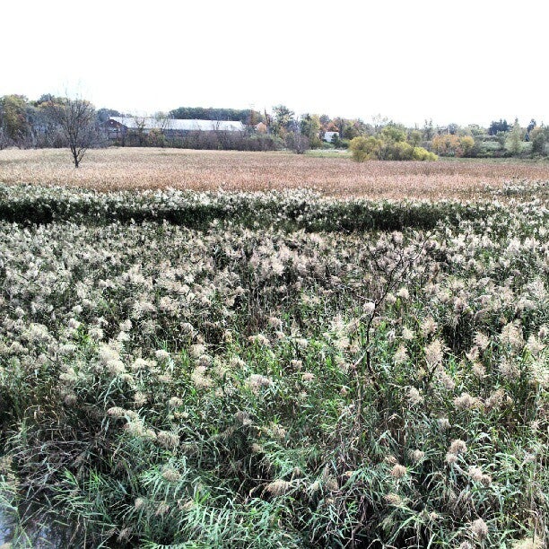 Lake To Lake Trail, Middleburg Heights, OH, Trail MapQuest