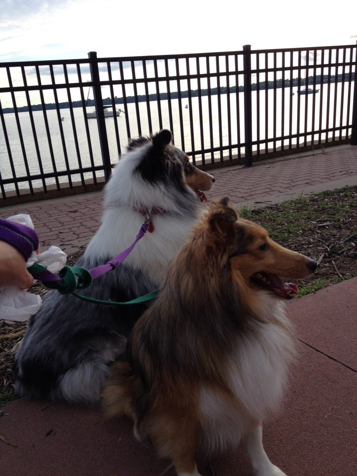 Waverly, MN Map & Directions MapQuest