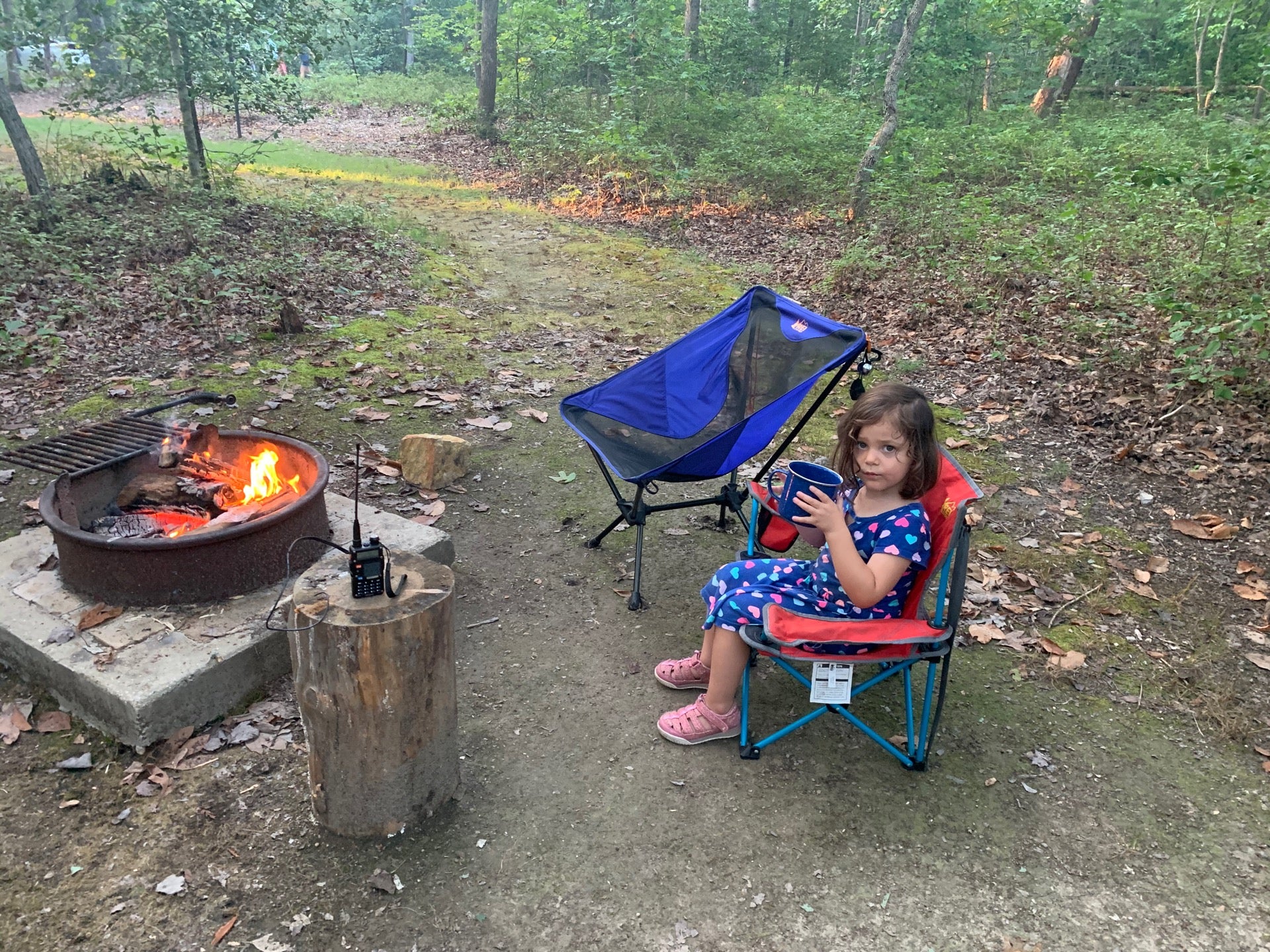 Oak Ridge Campground | Prince William Forest Park, Manassas, VA - MapQuest