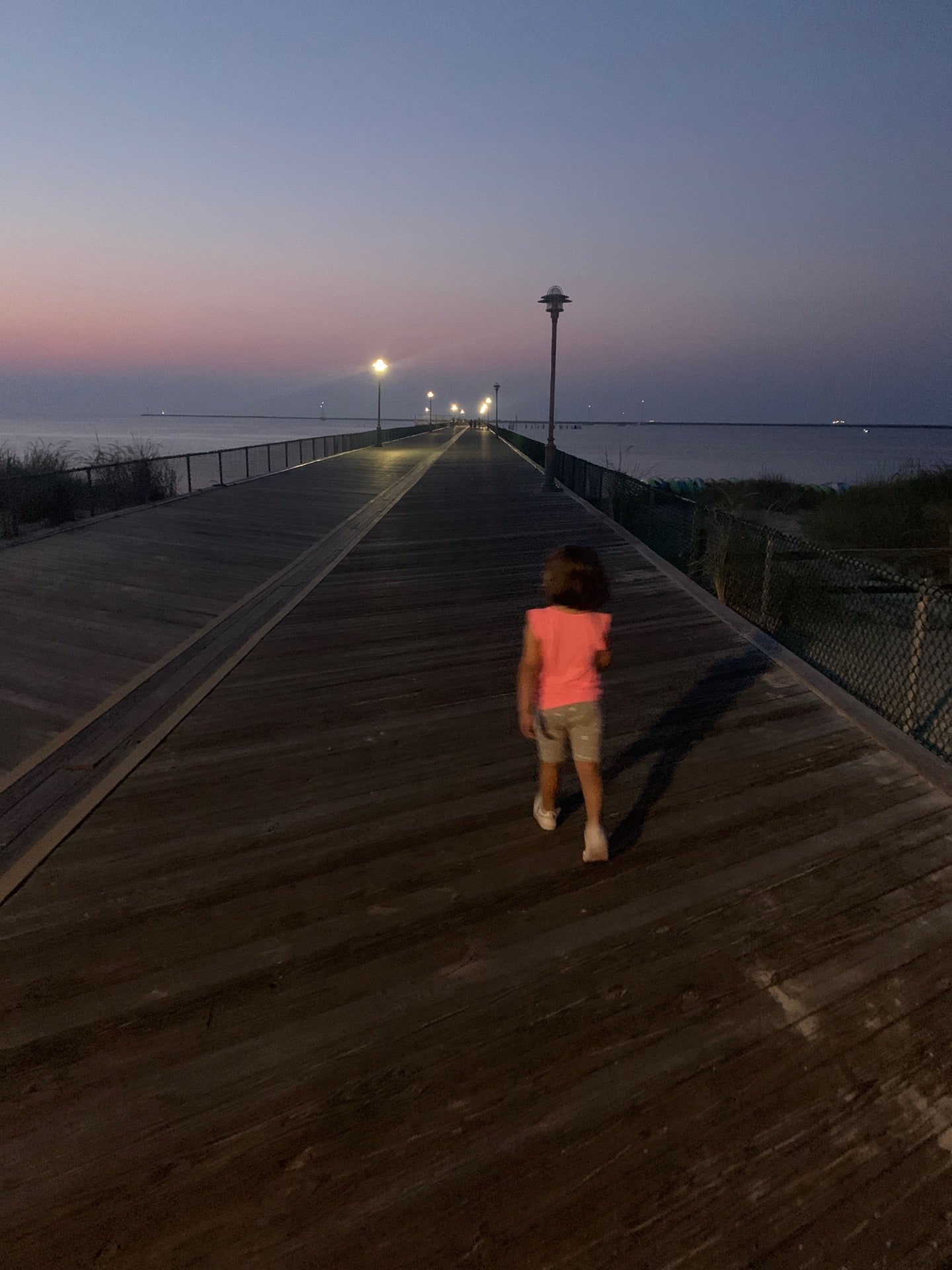 Delaware Fishing Pier