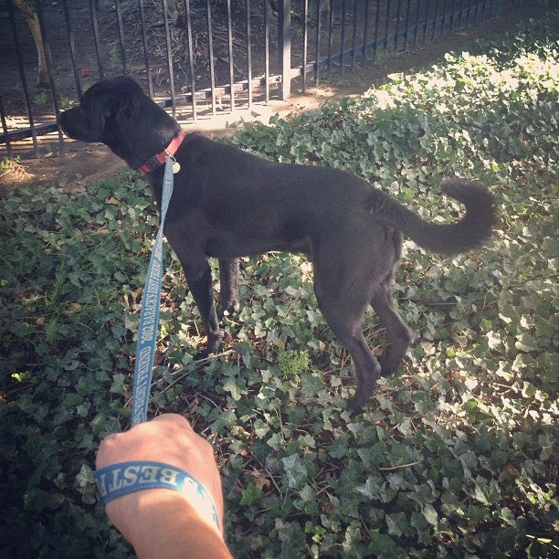 Scooter Land US, 5779 Winfield Blvd, Ste A1, San Jose, CA, Motorcycle