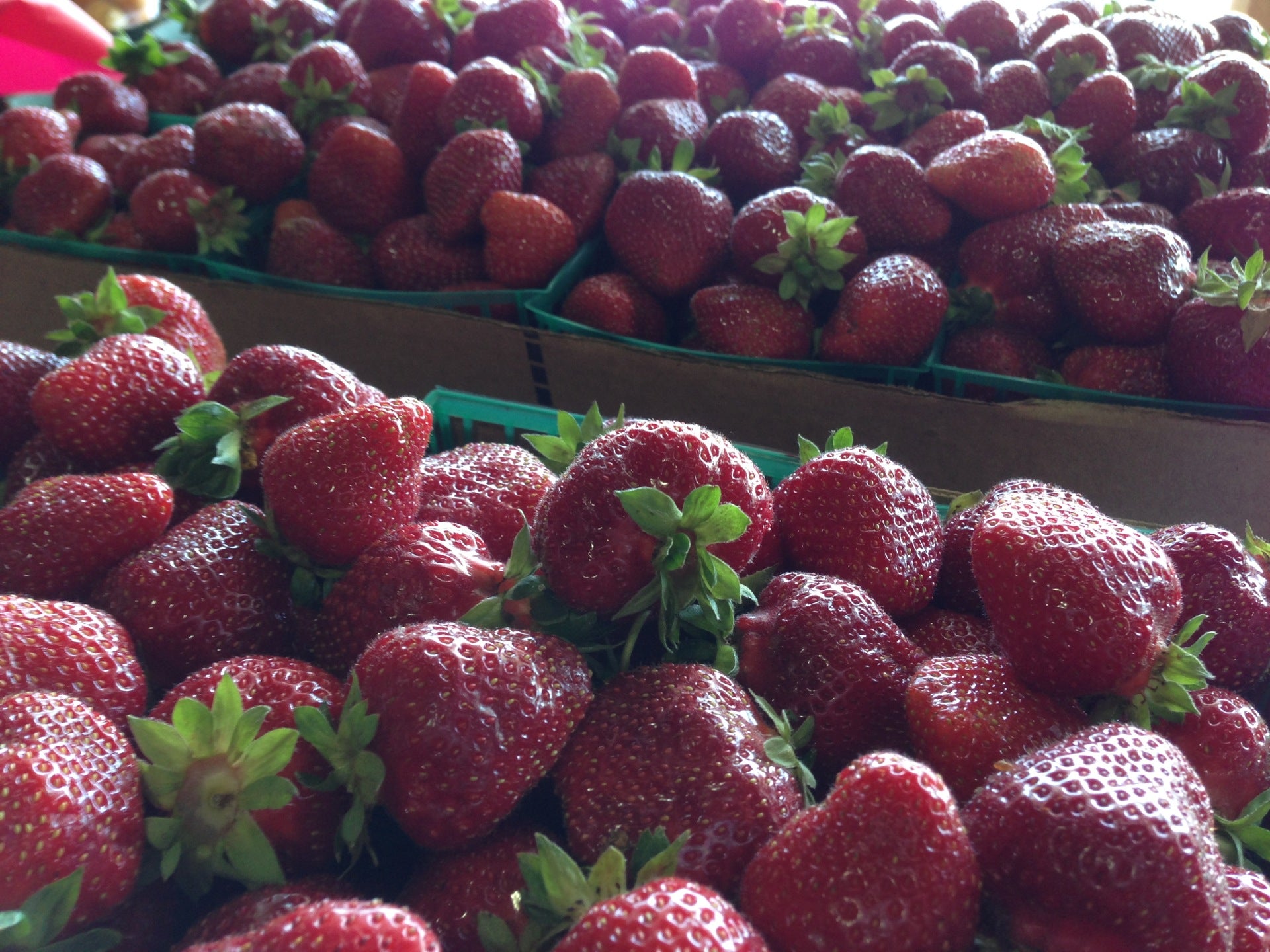 Clements Ridge Produce and Bakery, 23225 CA88, Clements, CA