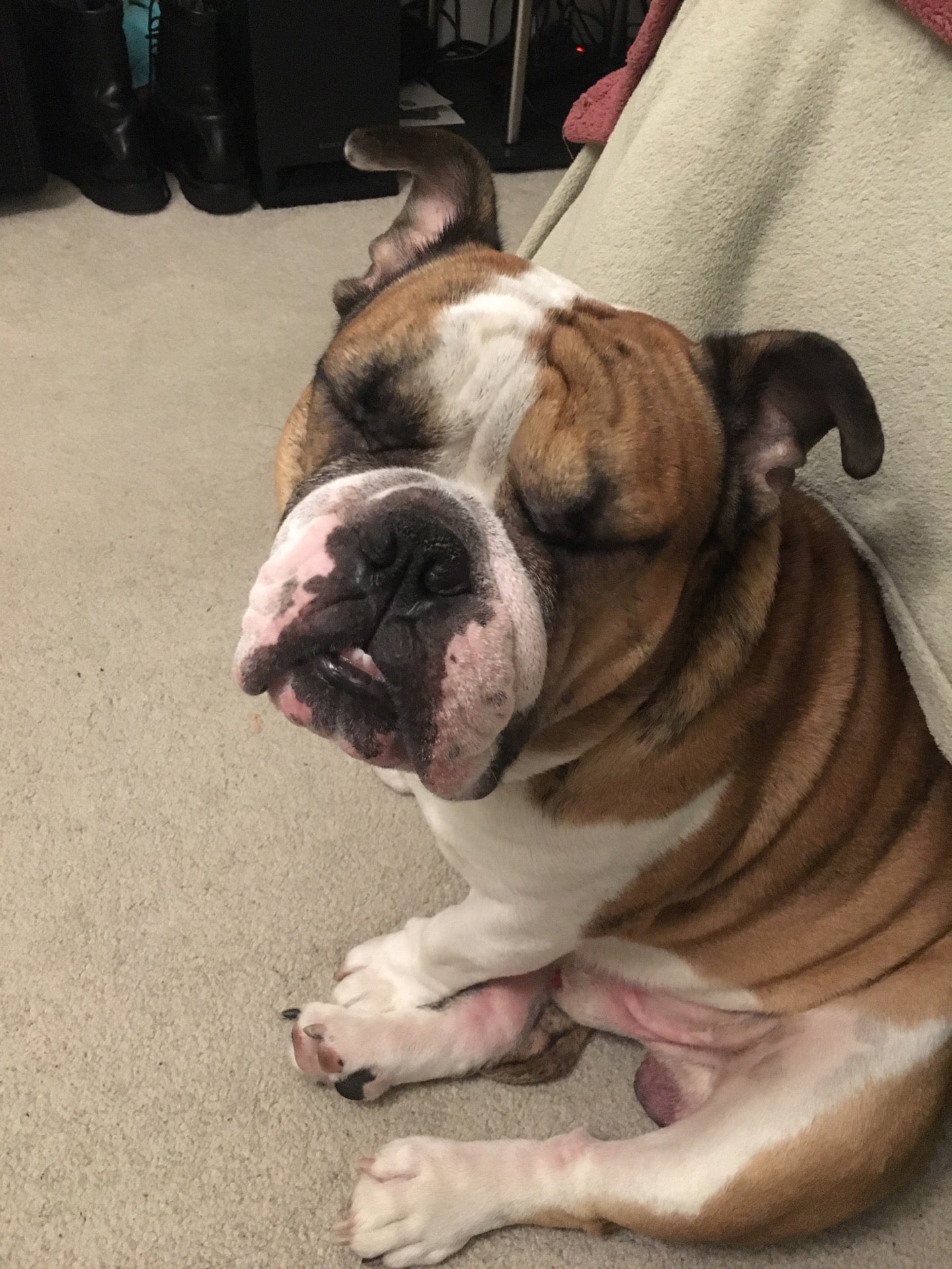 Raintree Condominiums CLOSED, 2000 Raintree Cir, Culver City, CA