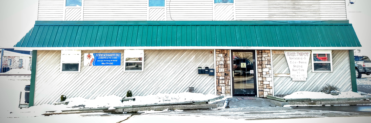 Lesley Dishaw MD Bellin Health Iron Mountain, 440 Woodward Ave, Iron