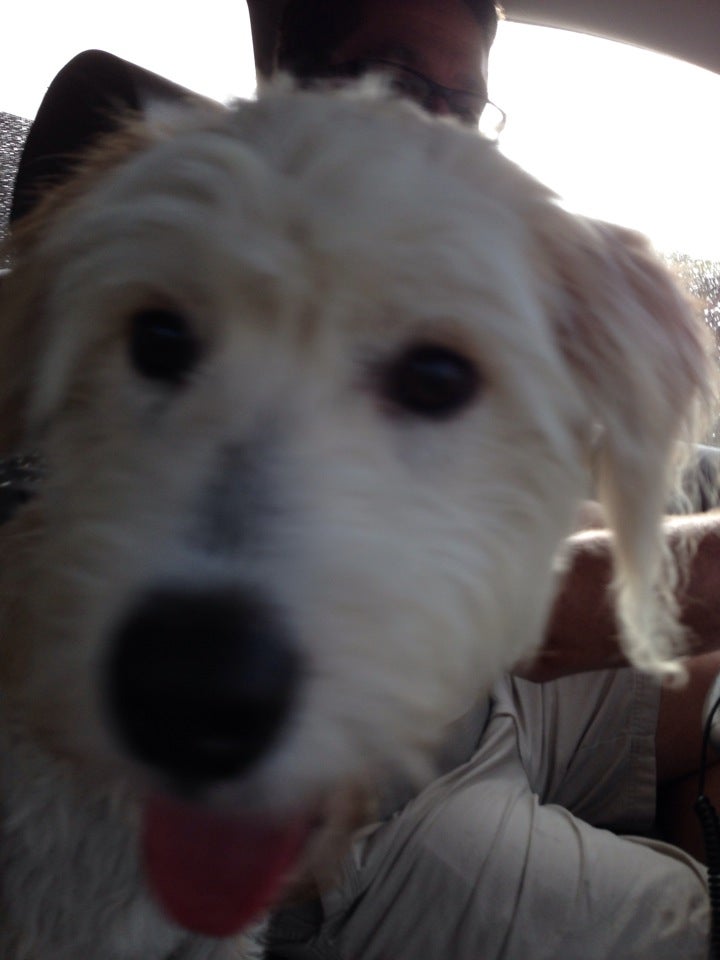 Greater Columbia Obedience Club, 847 S Stadium Rd, Columbia, SC MapQuest