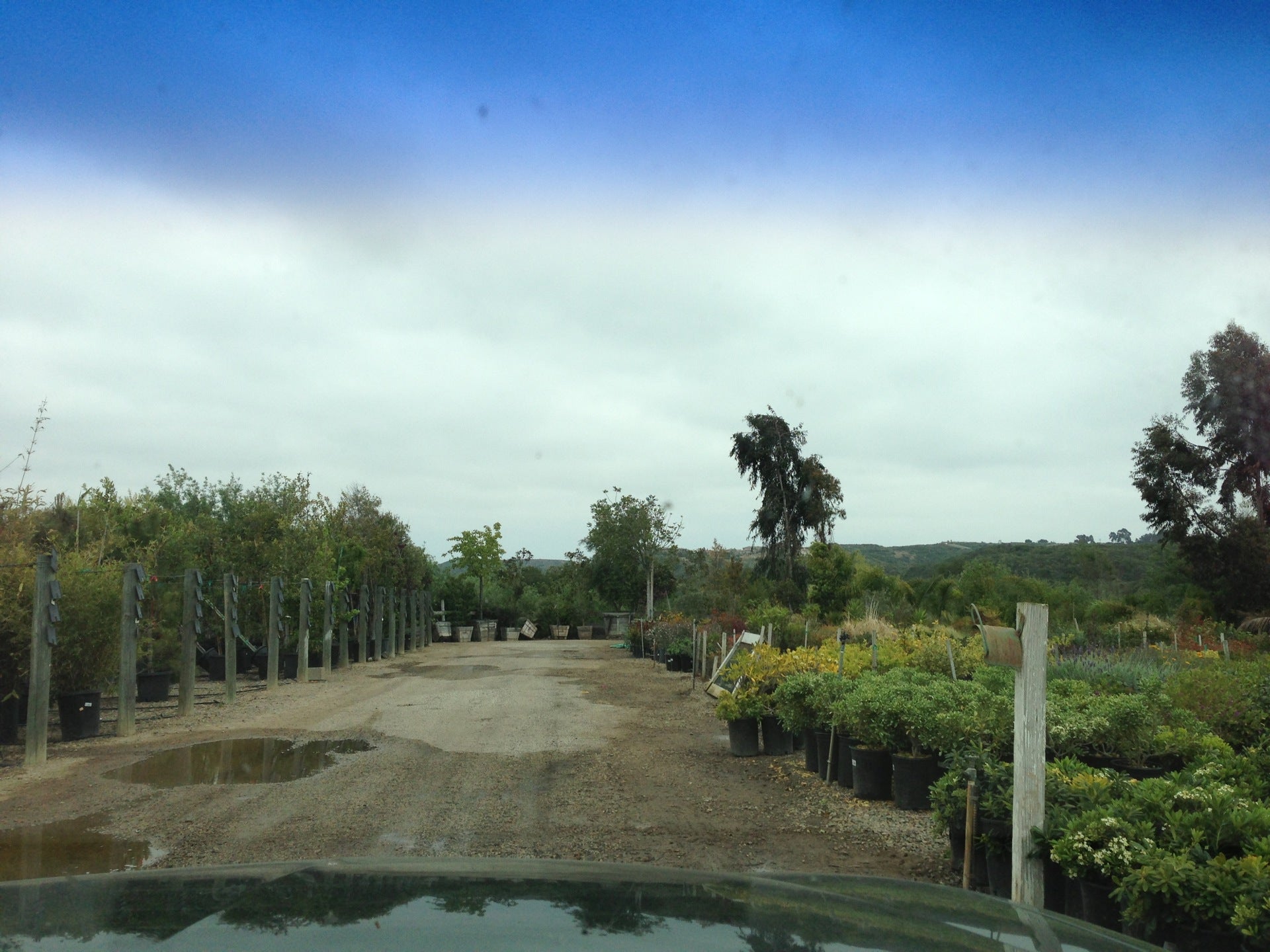Village Nurseries, 4343 Carmel Valley Rd, San Diego, CA, Garden Centers