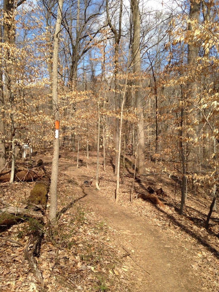 Buzzard's Rock Trail, Ellicott City, MD, Trail - MapQuest