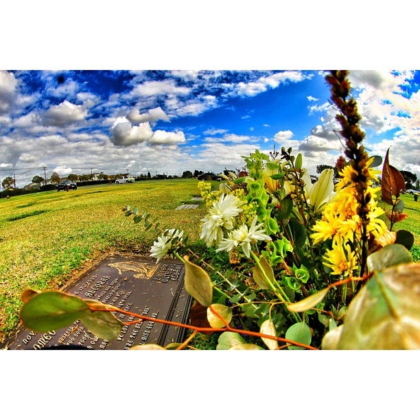 Forest Lawn Cypress, 4471 Lincoln Ave, Cypress, CA, Cemeteries MapQuest