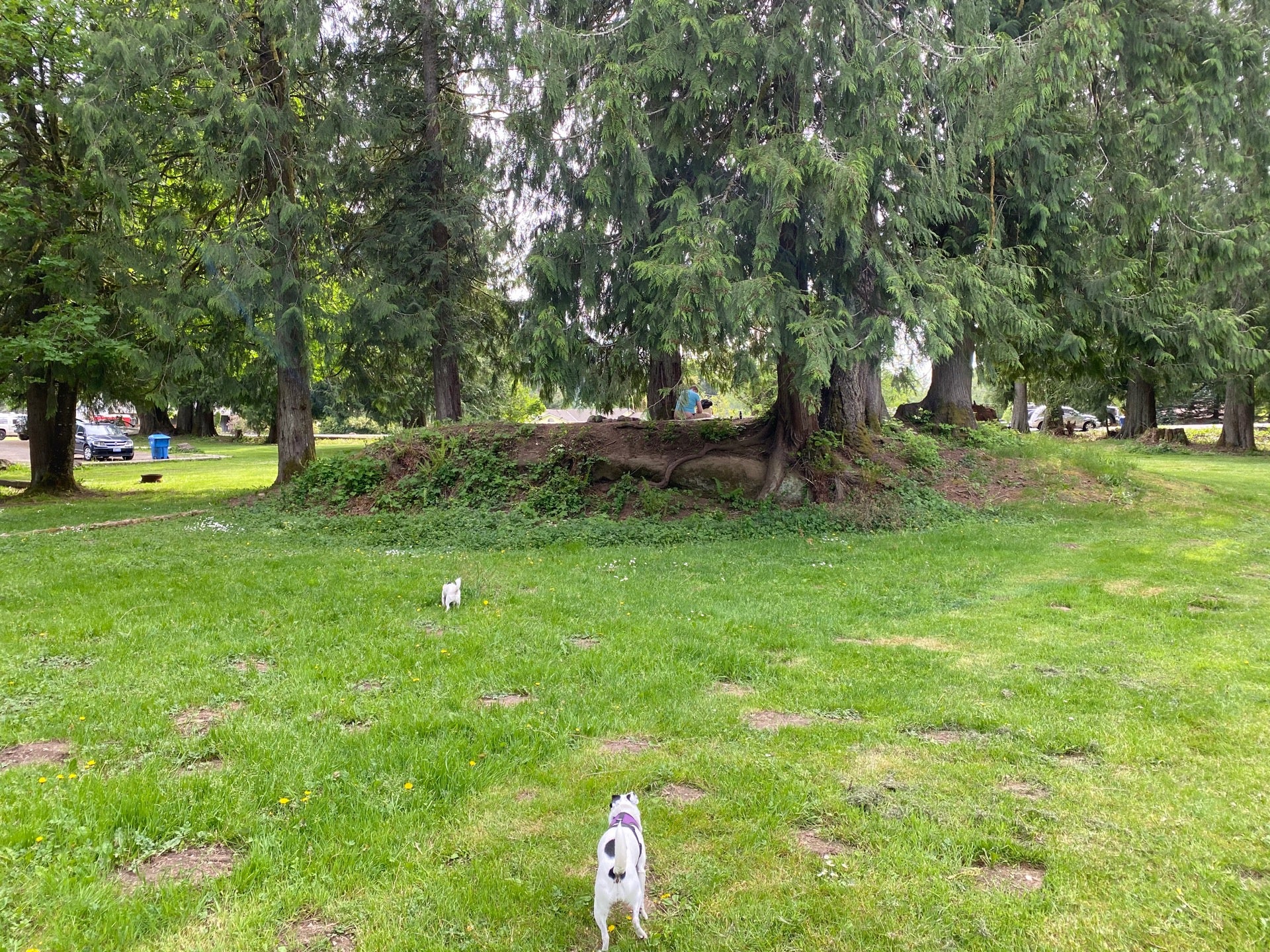 Morton, WA Map & Directions MapQuest