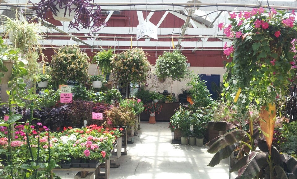 Petals and Pines Garden Center, 2723 Clinton St, West Seneca, Town of