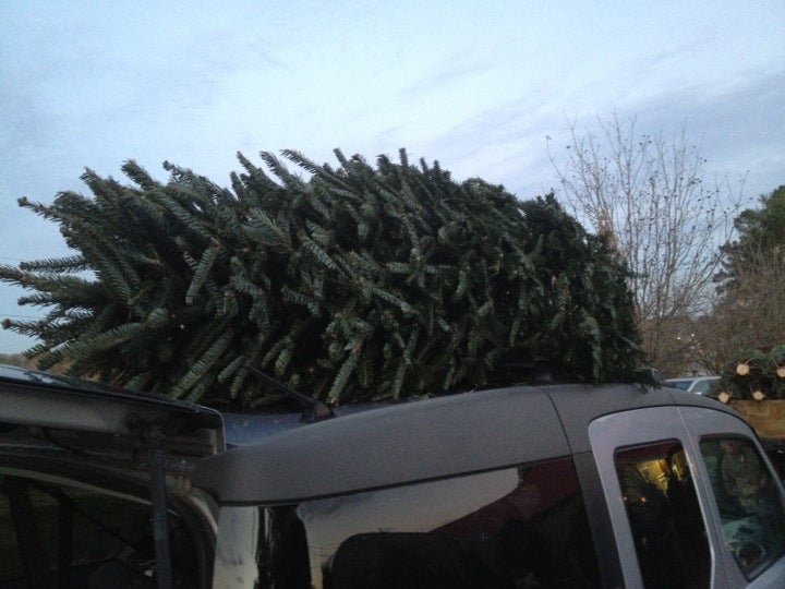 Olde Country Produce and Mulch, 8824 Poole Rd, Knightdale, NC MapQuest