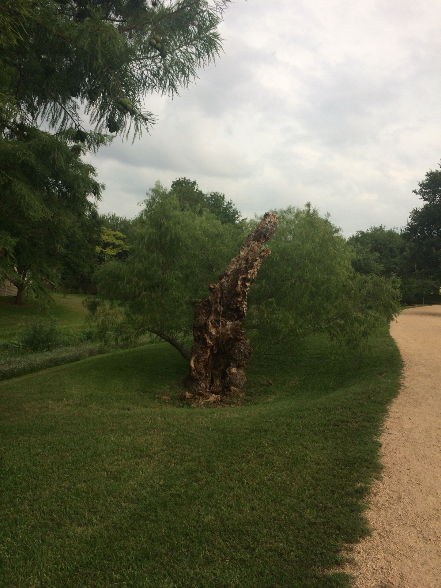 Wells Branch Community Center, 2106 Klattenhoff Dr, Austin, TX ...