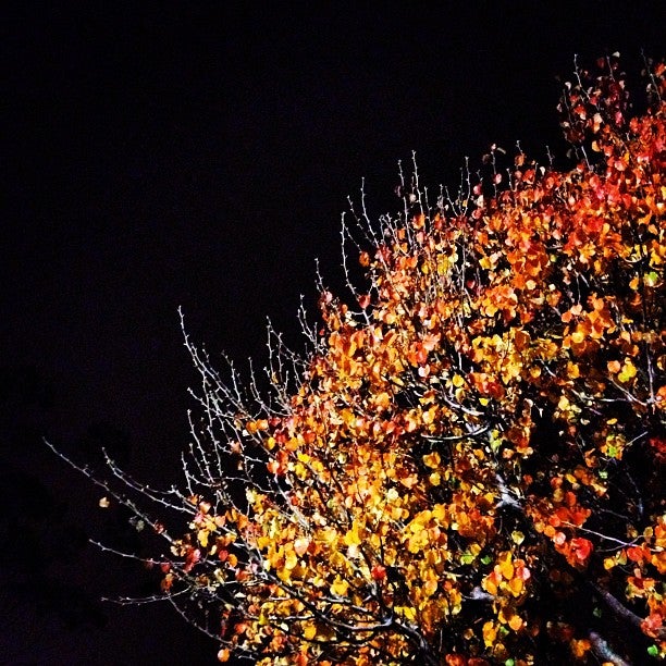 Goleta DMV Office, 7127 Hollister Ave, Goleta, CA, Commuter Rail