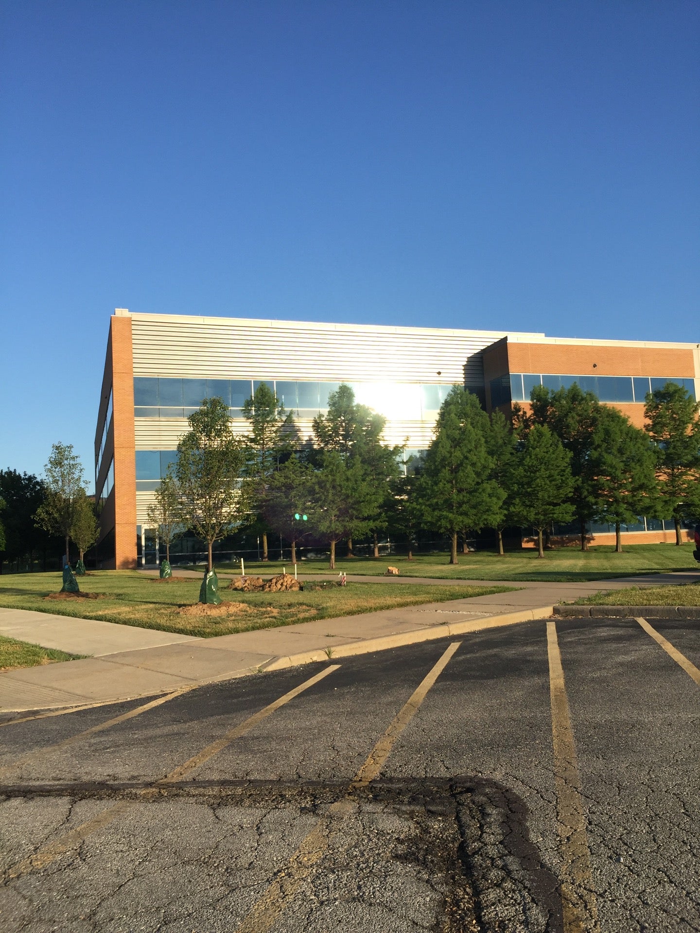 Pfizer, 500 Technology Dr, Weldon Spring, MO MapQuest