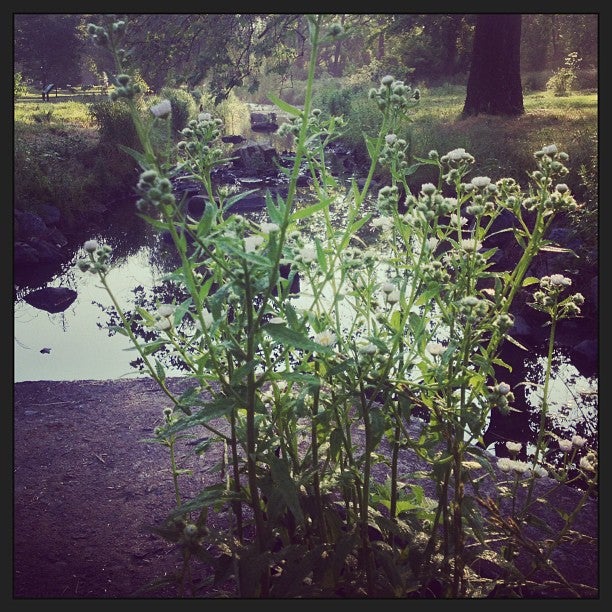 Trout Creek Park, Allentown, PA, Parks MapQuest