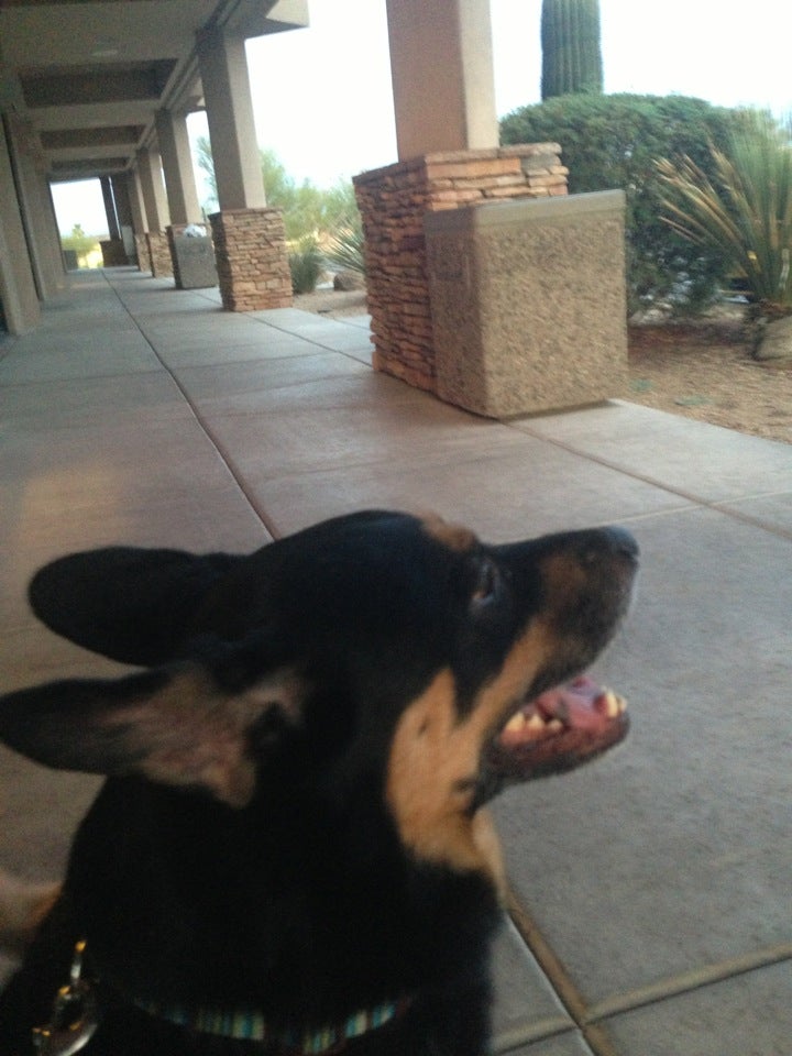 Rio Verde, AZ Map & Directions MapQuest