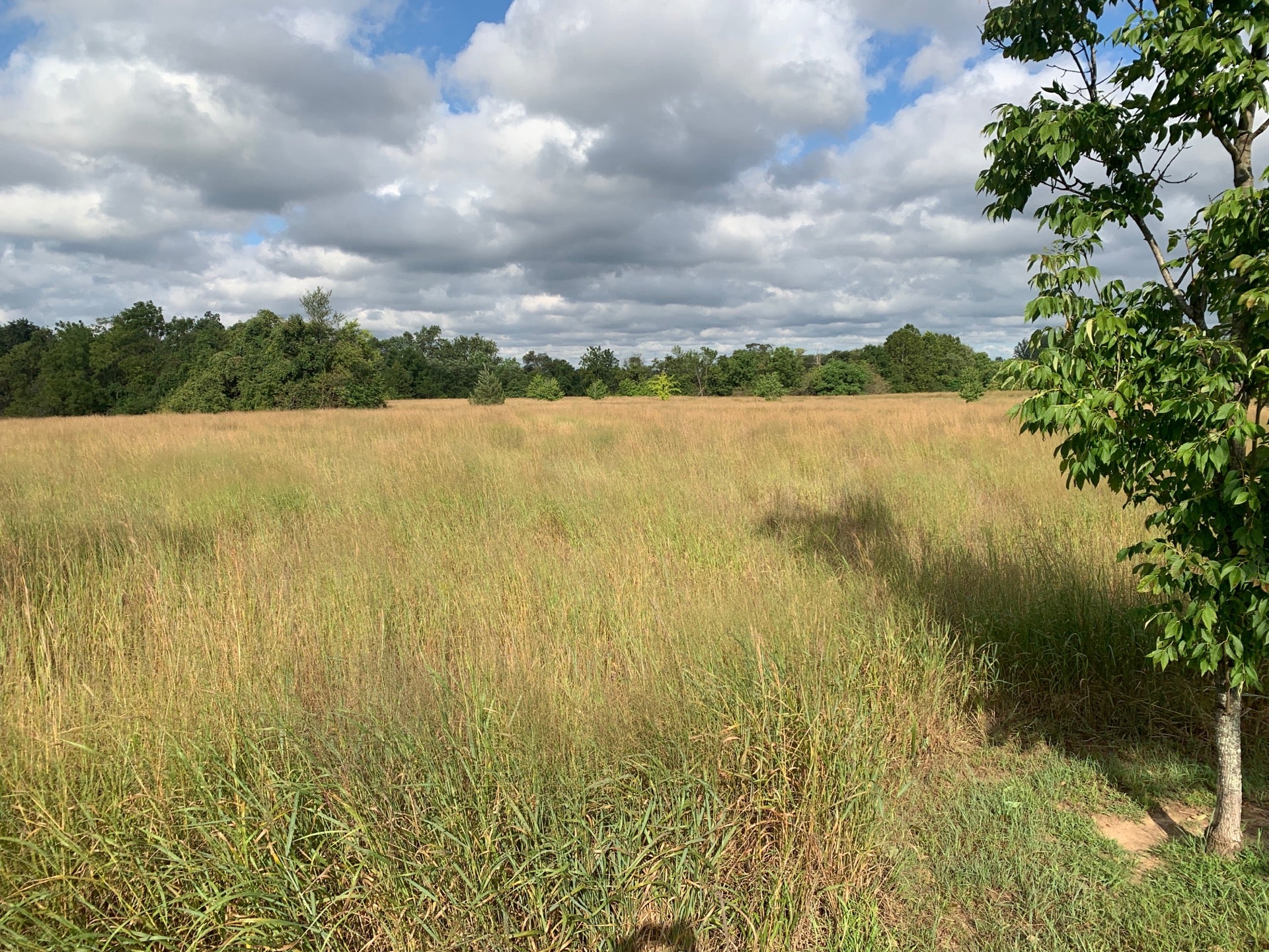 Pennington Park, 801 Creek Rd, Delanco, NJ, Parks MapQuest