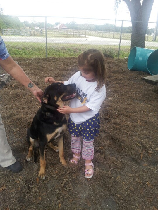 Brevard Humane Society, 1020 Cox Rd, Cocoa, FL MapQuest