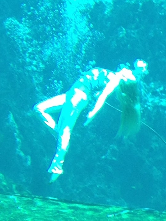 Weeki Wachee, FL Map & Directions MapQuest