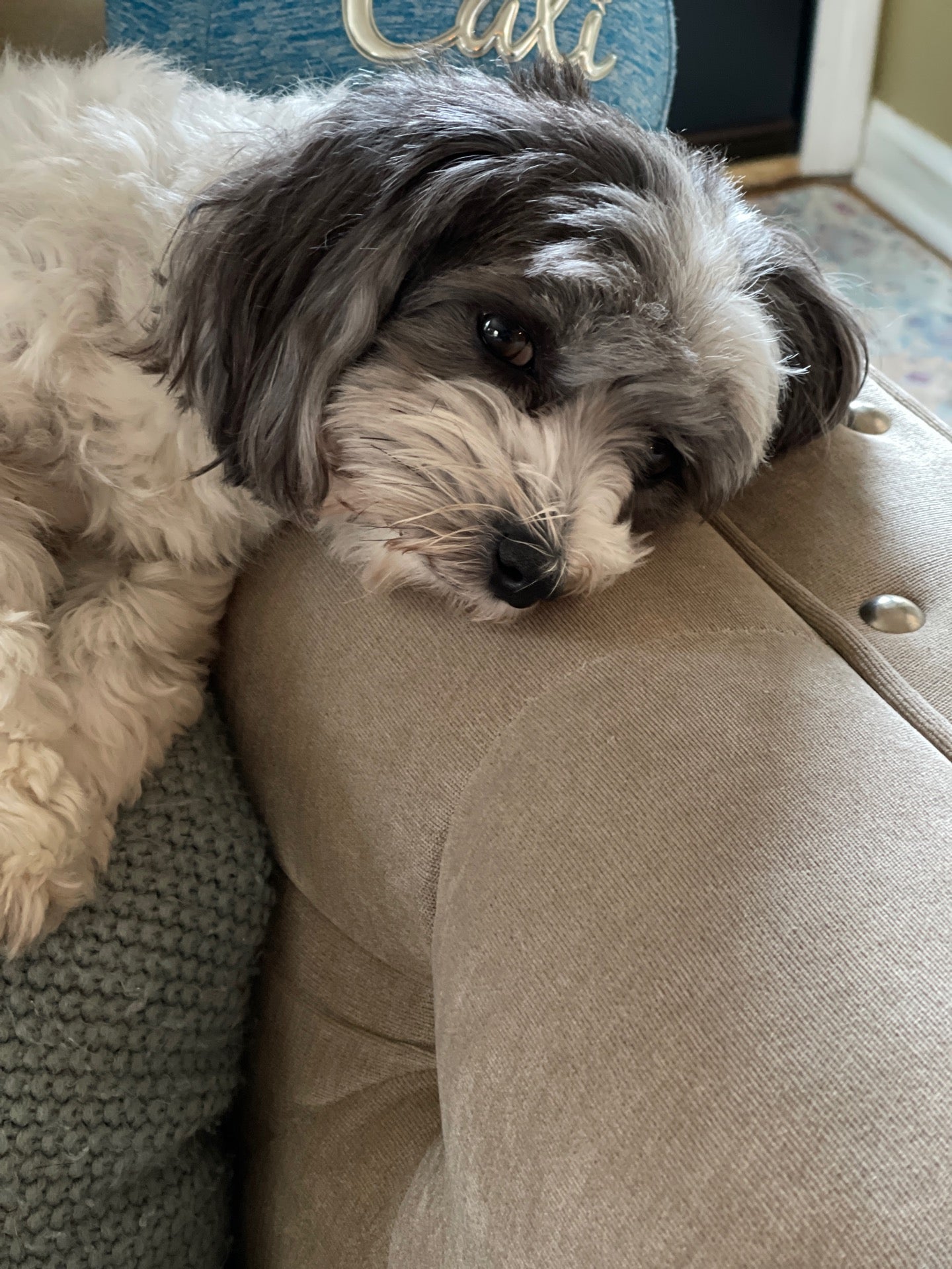 Summer Stephens Park