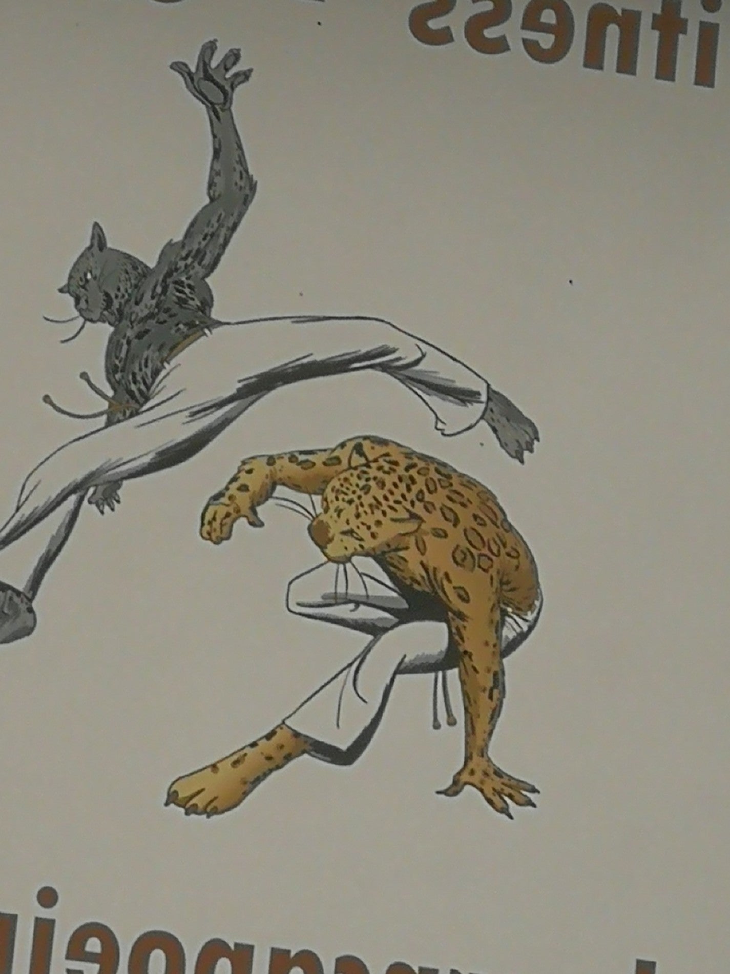 Goodman Sportswear, 2065 Midland Ave, # 3, Scarborough, ON M1P 4P8, CA -  MapQuest