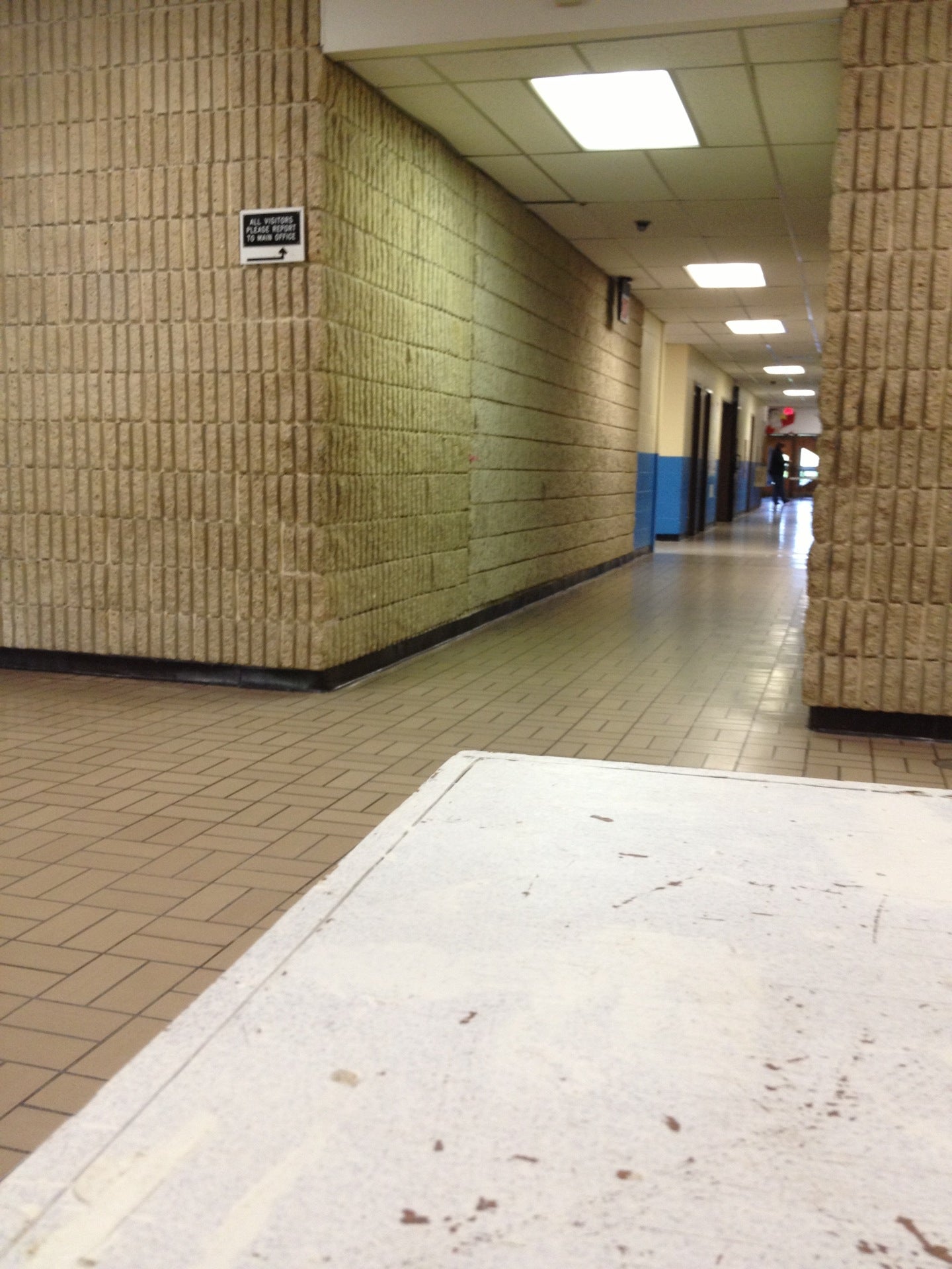 Mckinley Ave Elementary School, 1000 McKinley Ave, Manahawkin, NJ