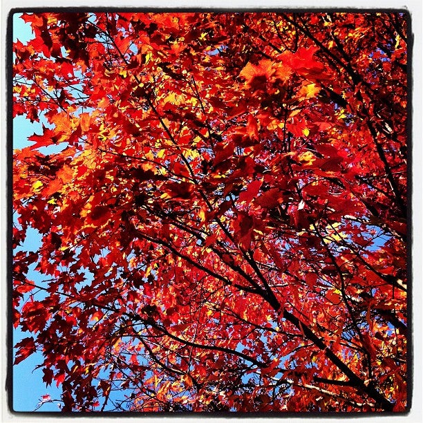 Monaca, PA Map & Directions MapQuest