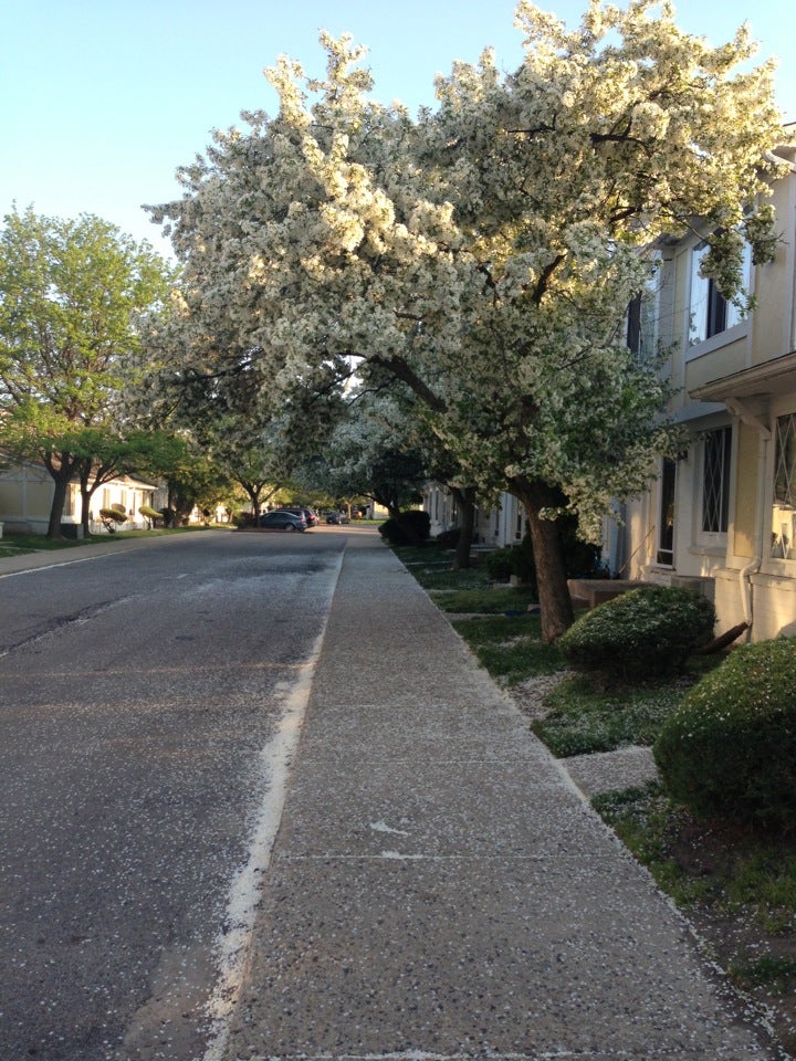 Beachwood Townhomes & Apartments, 38001 Club House Ln, Harrison Twp, MI