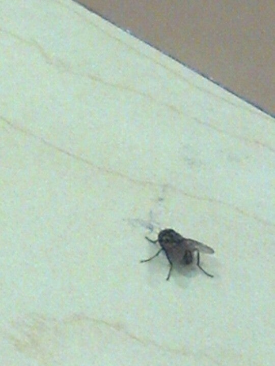 Kiefer, OK Map & Directions MapQuest