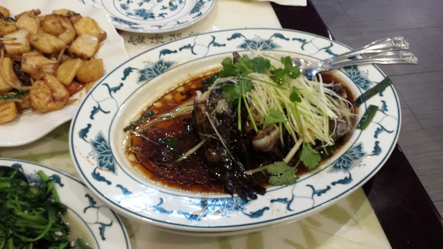 Dragon City Mandarin House, 6708 Stirling Rd, Davie, FL, Chinese