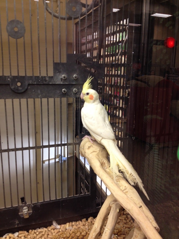 PetSmart, 10260 Maysville Rd, Fort Wayne, IN, Pet Supplies MapQuest