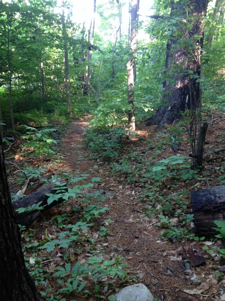 Appalachian Trail, Becket, MA, Trail - MapQuest