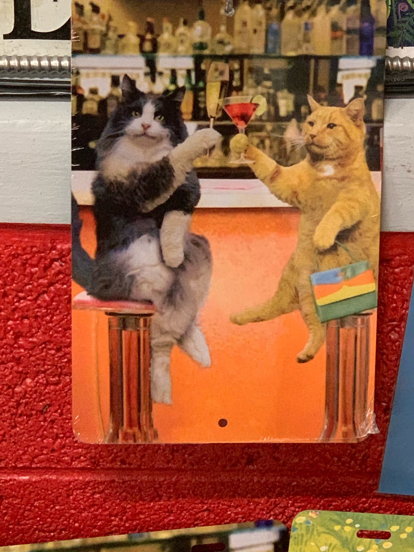 The American Museum of the House Cat, 4704 Us Highway 441 S, Sylva, NC