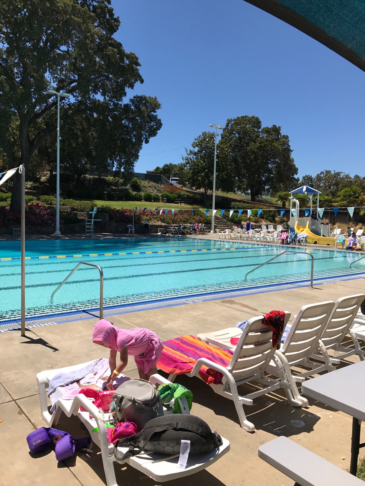 Hamilton Pool, 203 El Bonito Dr, Novato, CA, Swimming Pools Public