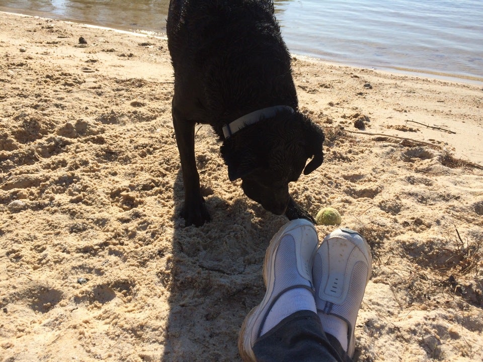 Burton Mill Park At Lake Lanier Buford GA MapQuest