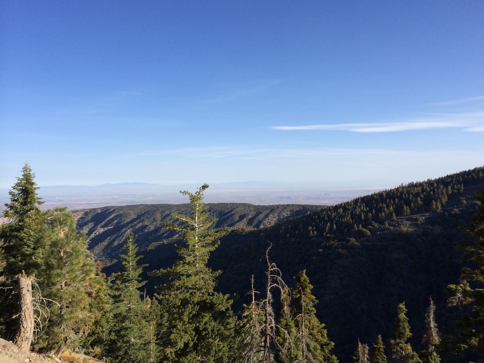 Table Mountain Campground, 22223 Big Pines Hwy, Wrightwood, CA