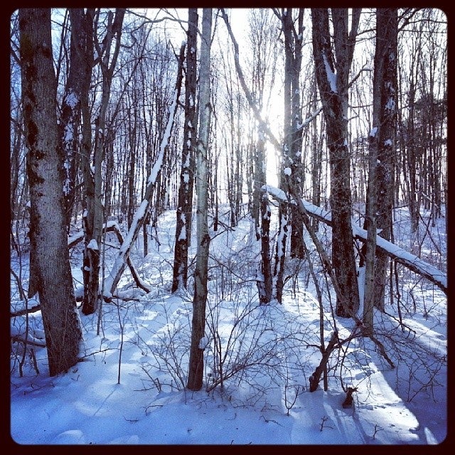 Muth Park, Barton Rd, Apalachin, NY MapQuest